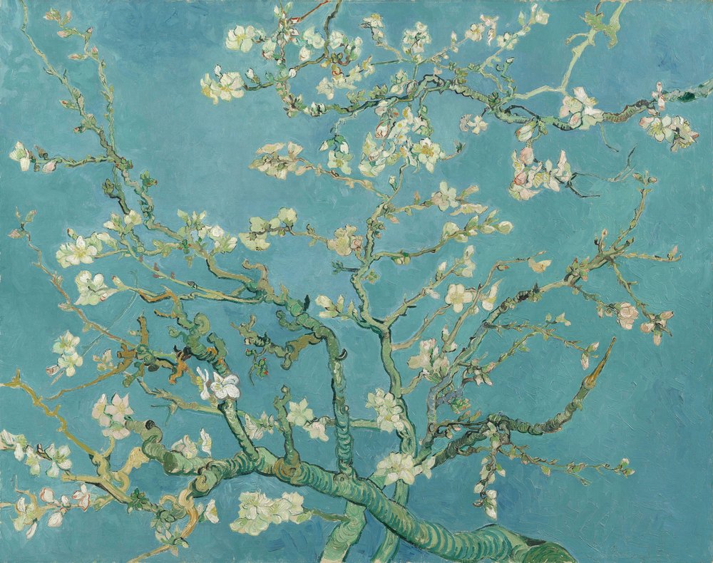 花咲くアーモンドの木
